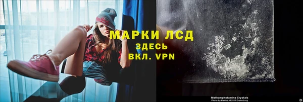 PSILOCYBIN Бородино