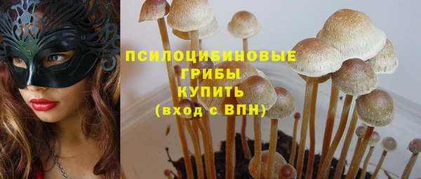 метадон Верея